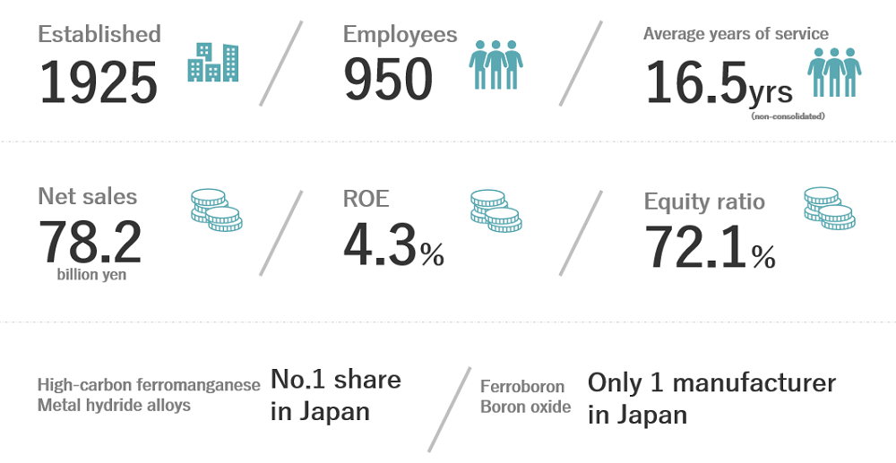 Nippon Denko by the Numbers