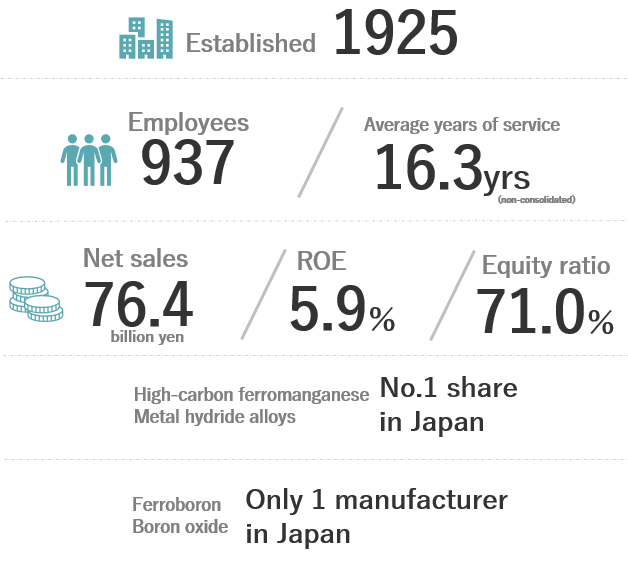 Nippon Denko by the Numbers