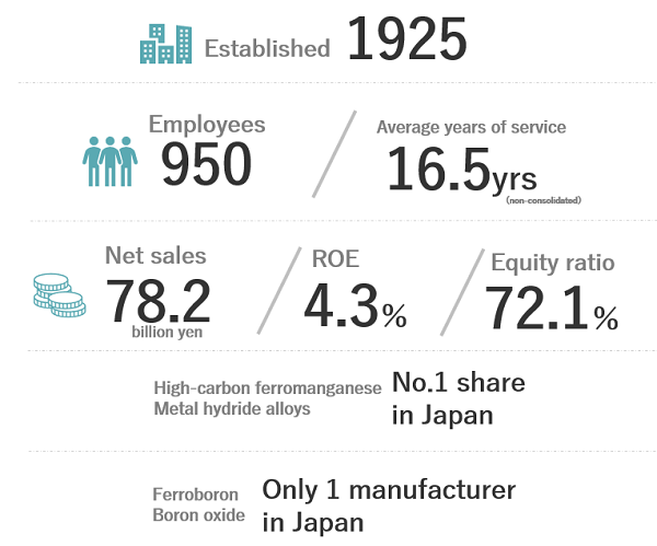 Nippon Denko by the Numbers